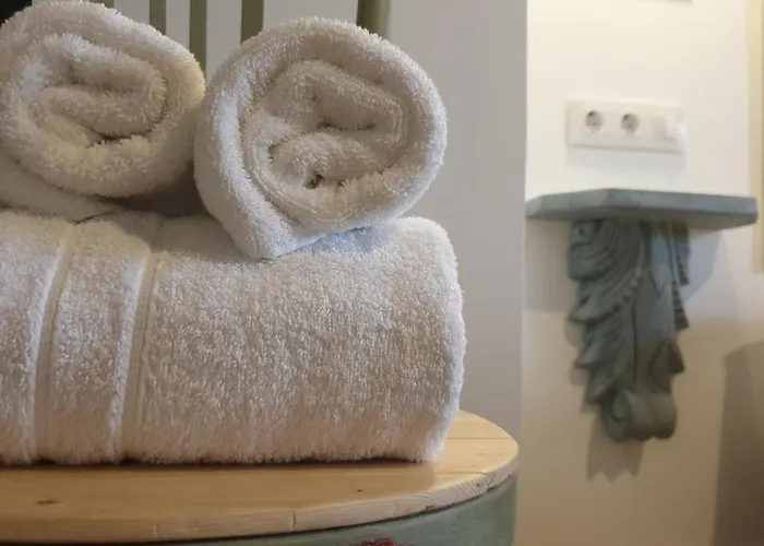 Entreacebedas Rural&vacaciones, Con Jardin Privado, Barbacoa Y Chimeneas *